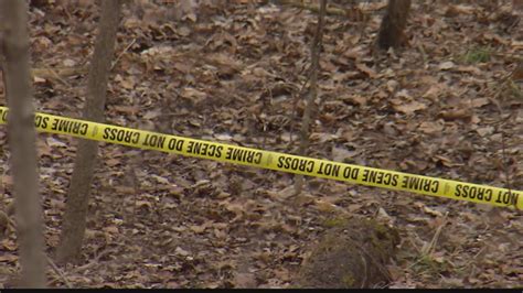 I have in my possession what are purported to be leaked photos of the Delphi crime scene where Abby Williams and Libby German were found. . Delphi crime scene leaked photos